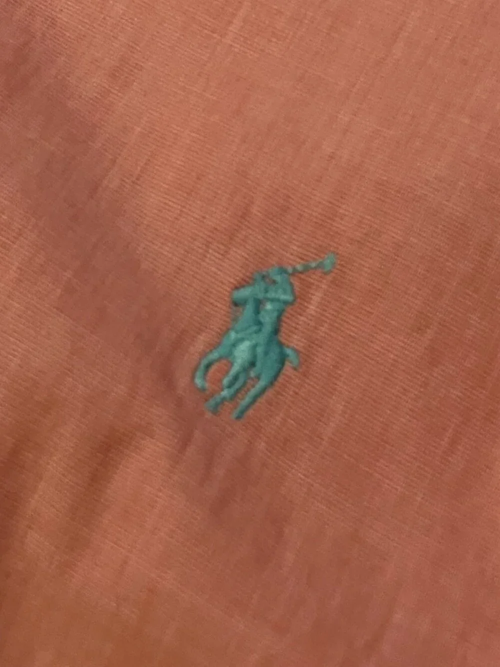 Polo Ralph Lauren this classic
